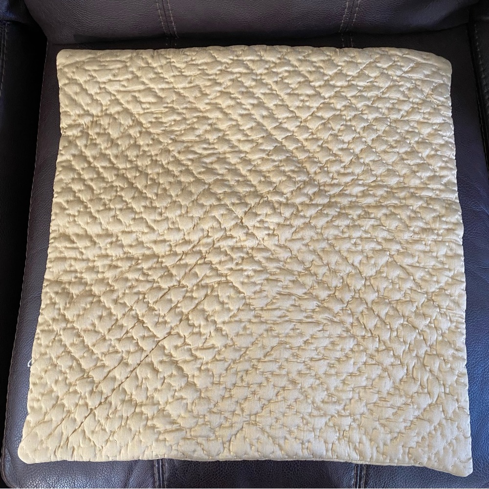 Pottery Barn Silk Quilted Pillow (2) Covers